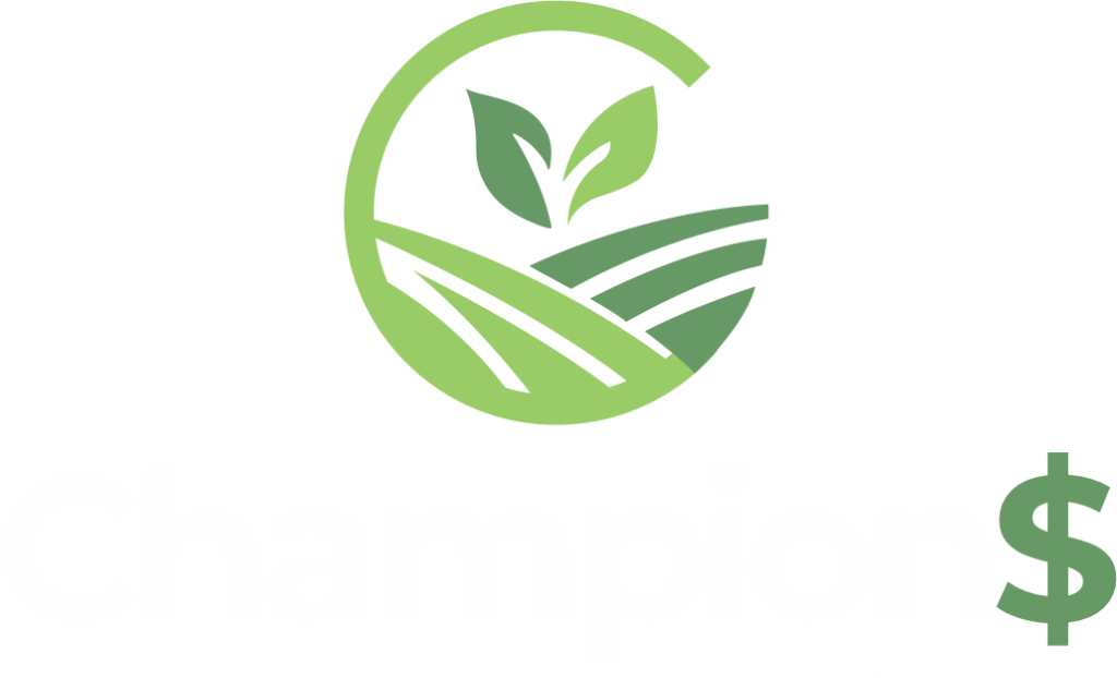 Champions Contabilidade